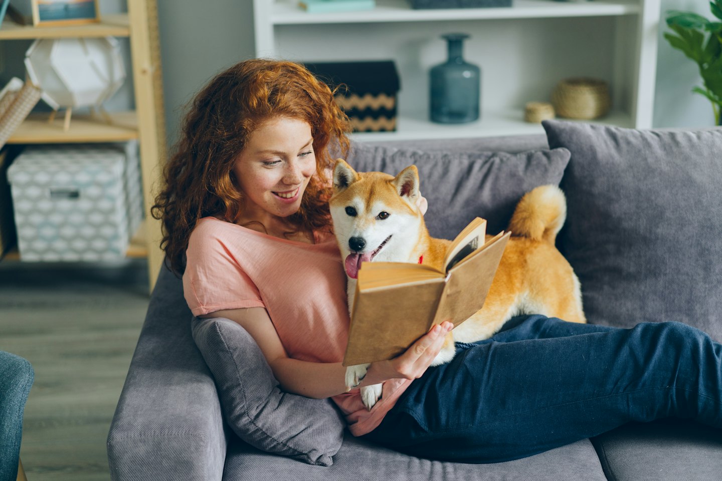 Woman reads book on couch with Shiba Inu.